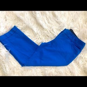 Boss Babe Columnist Dress Pants